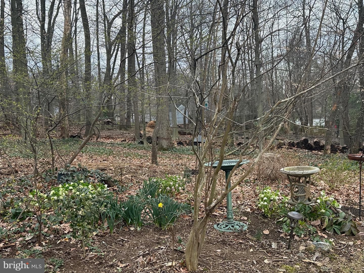 3812 Tall Oak Court photo 41