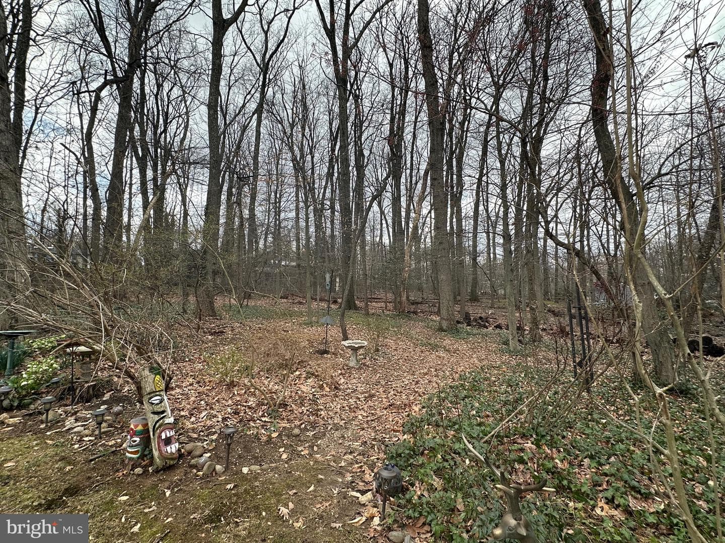 3812 Tall Oak Court photo 48