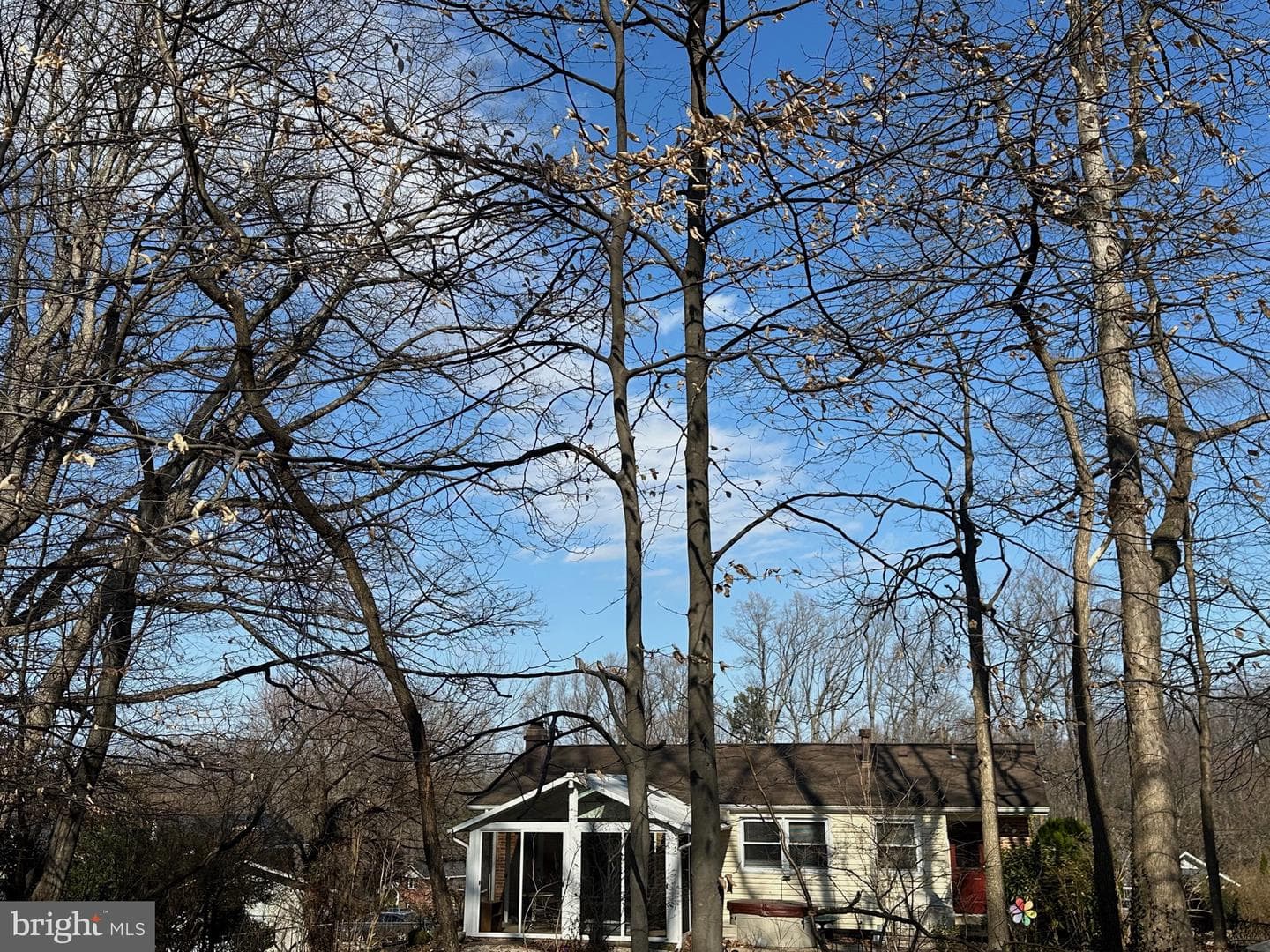 3812 Tall Oak Court photo 49