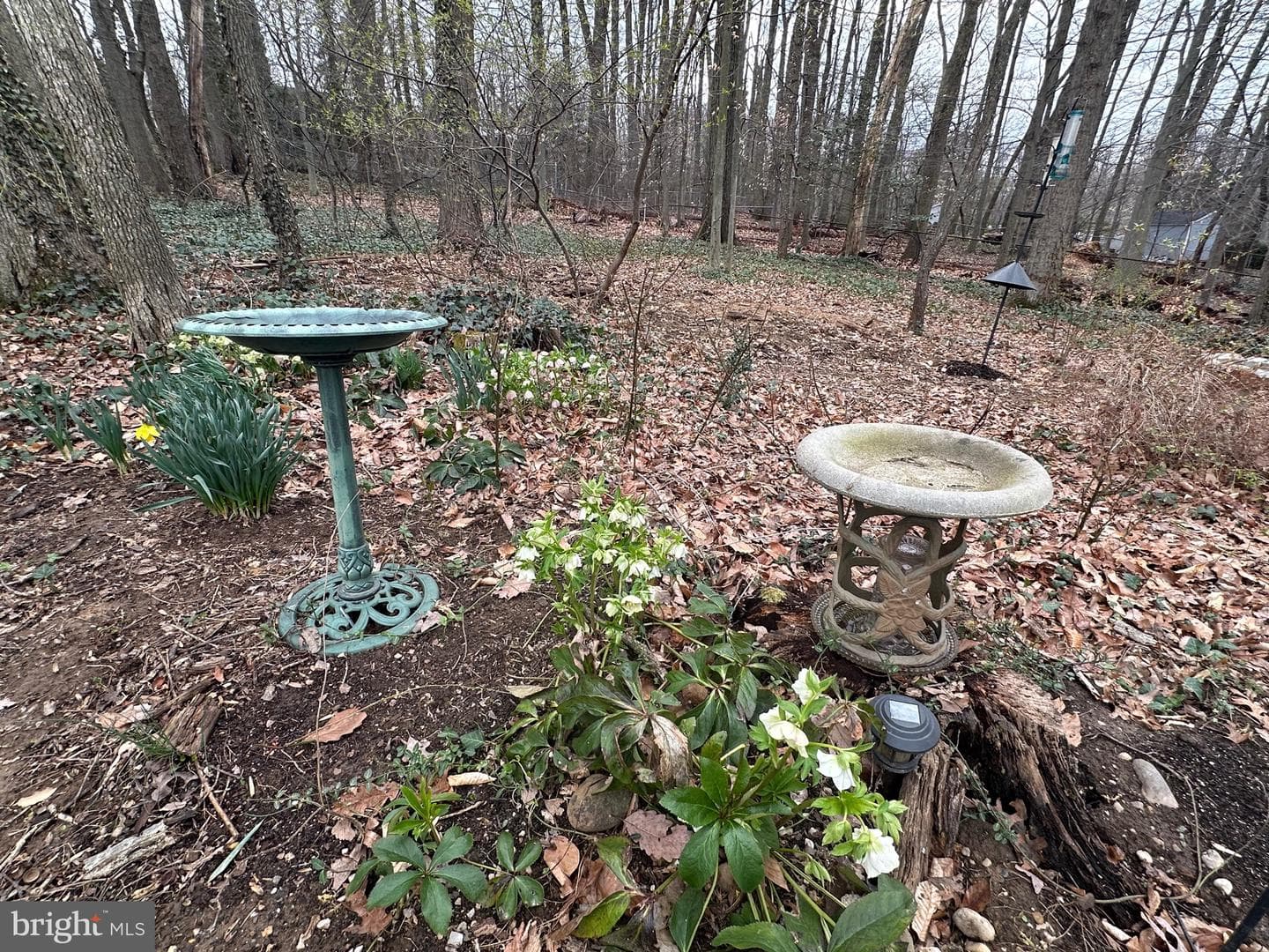 3812 Tall Oak Court photo 51