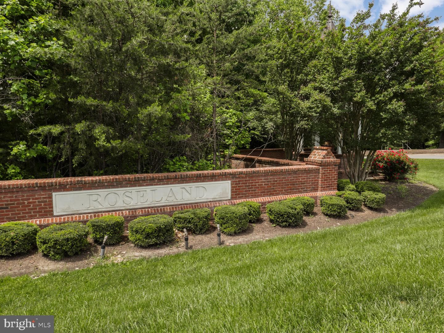 8197 Cottage Rose Court photo 107