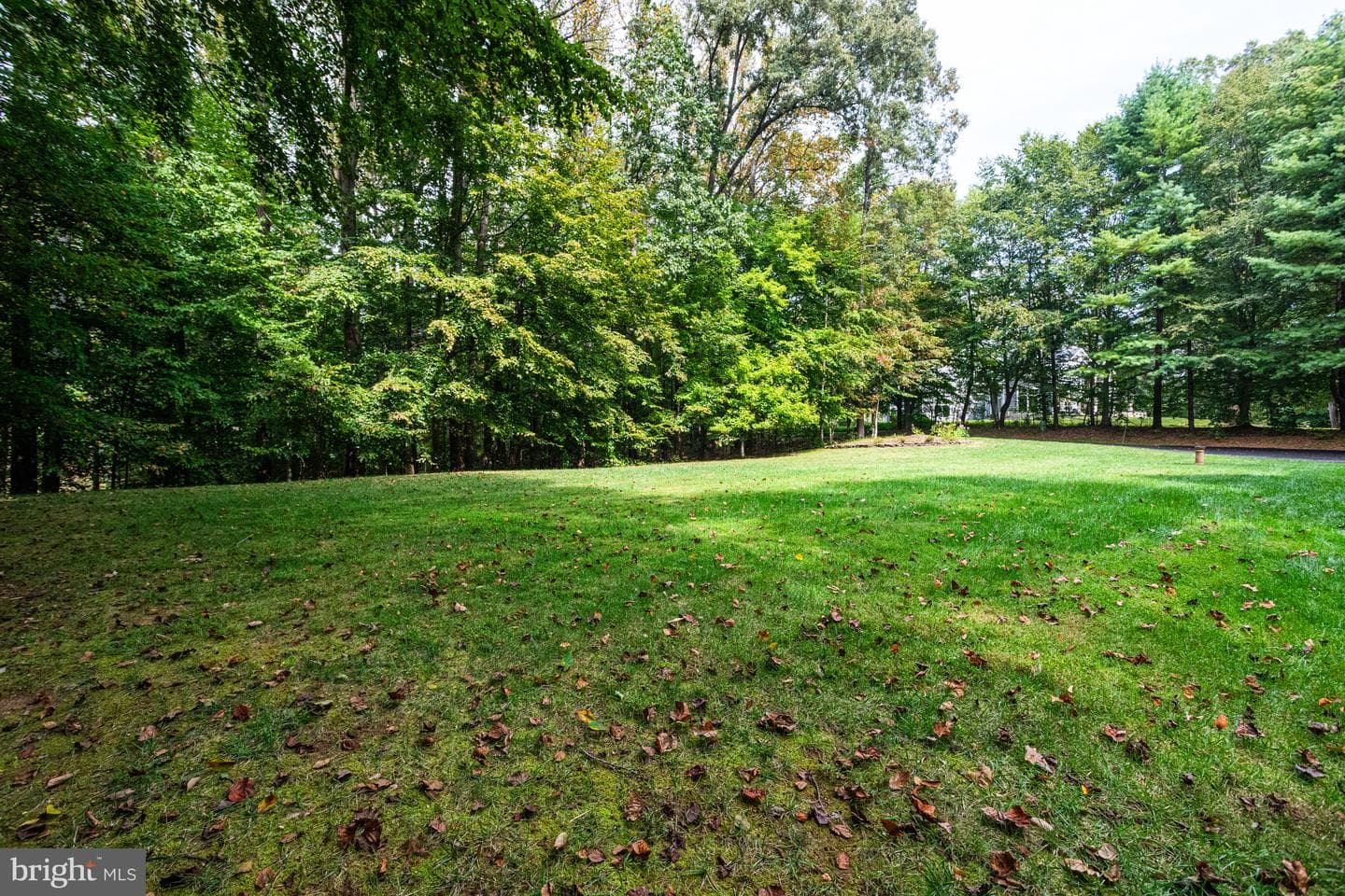 11901 Chapel Road photo 89