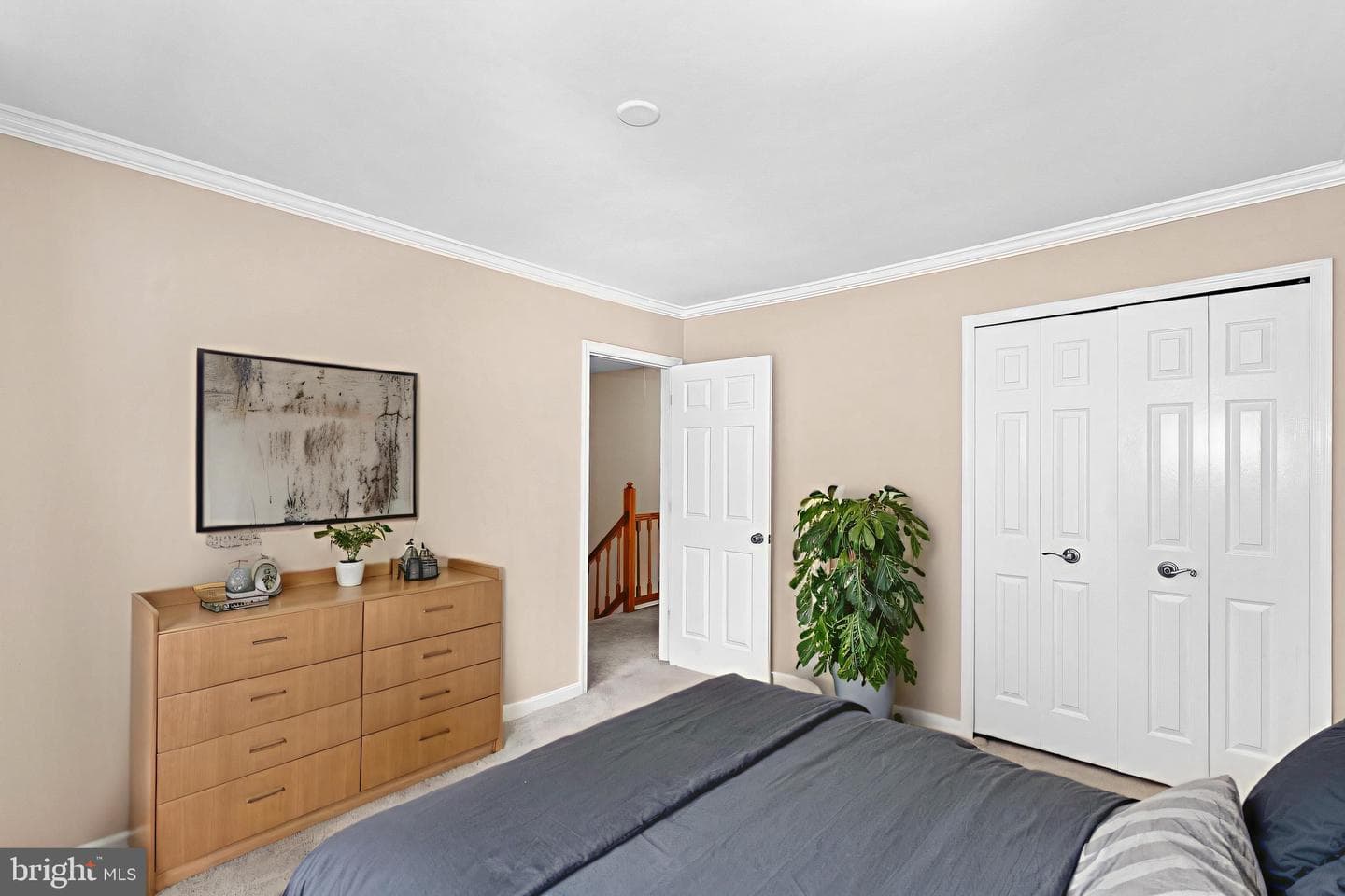 12541 Alder Woods Drive photo 40