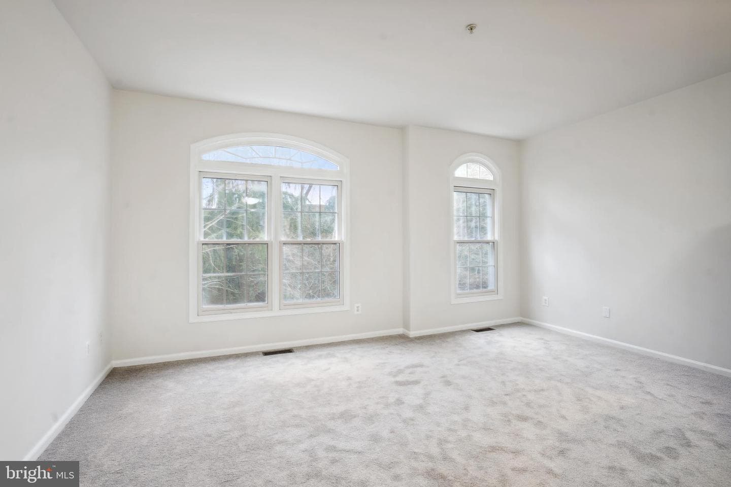 8856 Mansion View Court photo 16