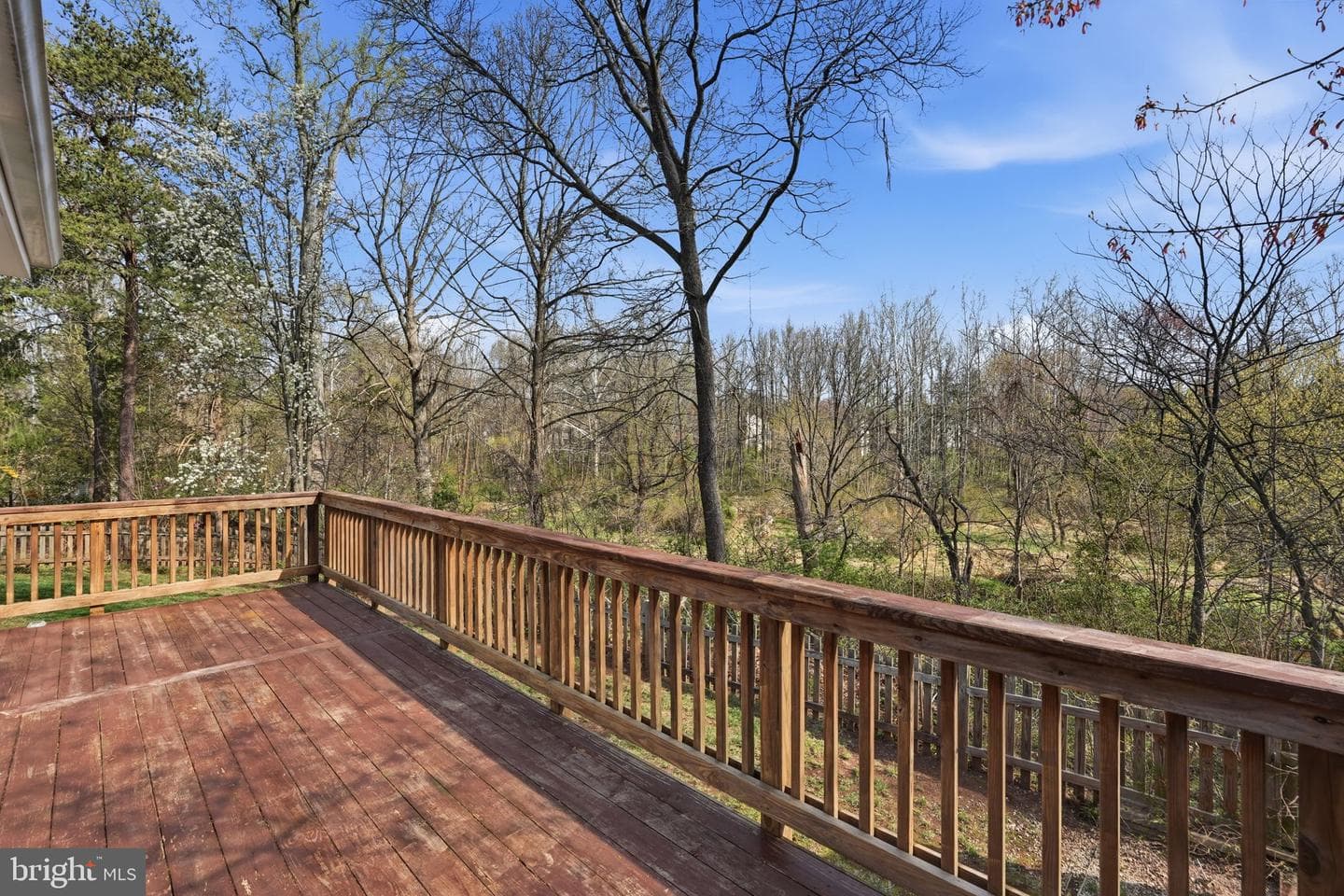 14508 William Carr Lane photo 29
