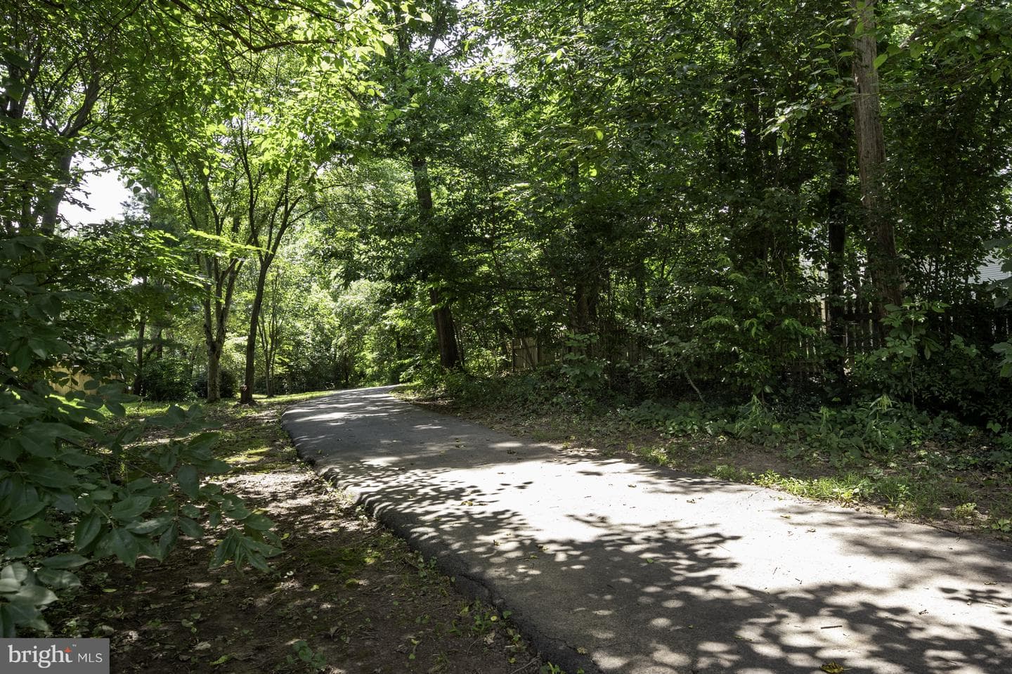 13770 Flowing Brook Court photo 47