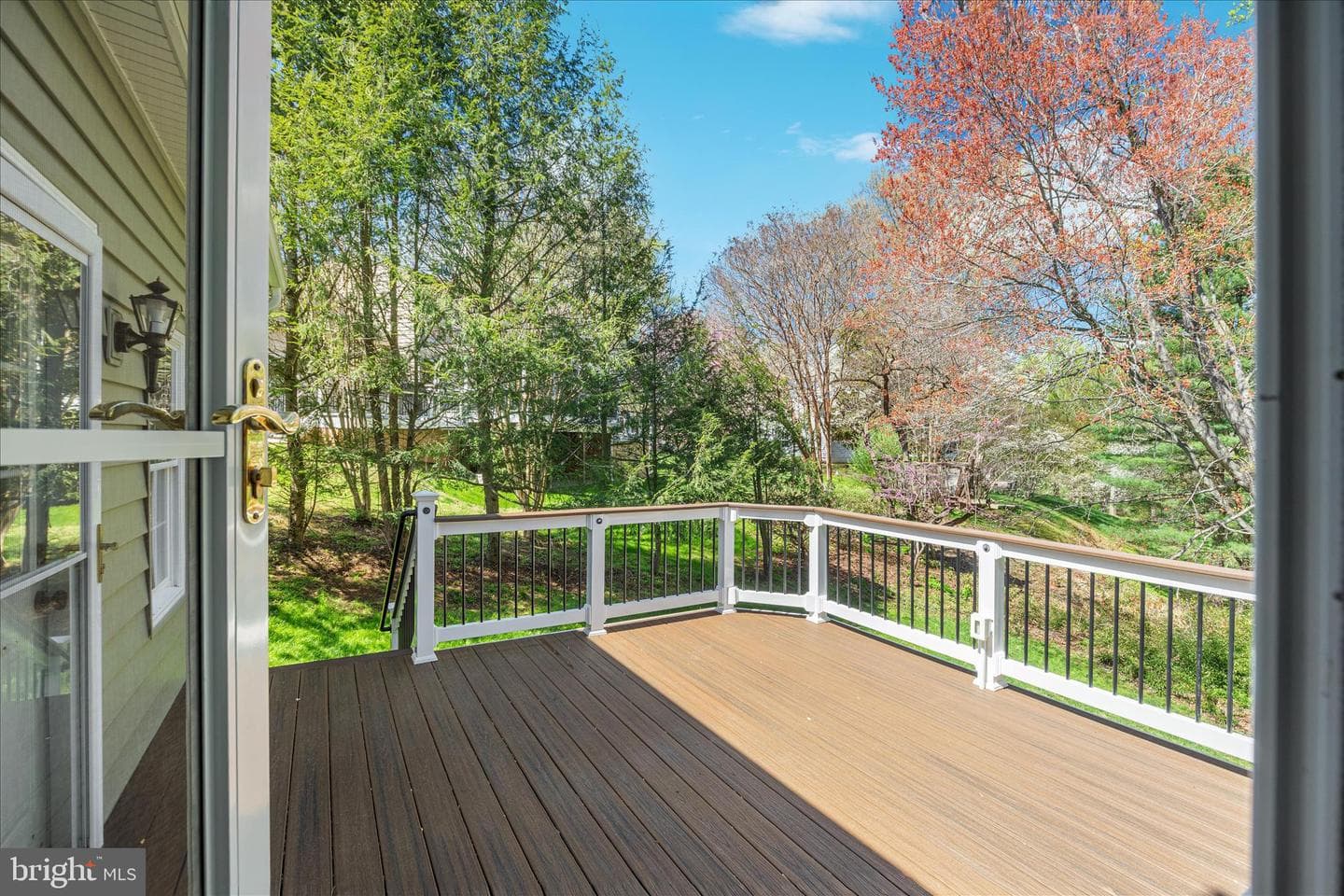 9910 Chase Hill Court photo 41