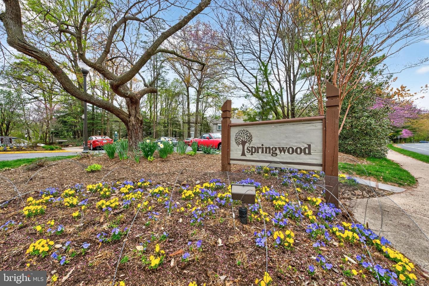 11735 Ledura Court #t1 photo 24