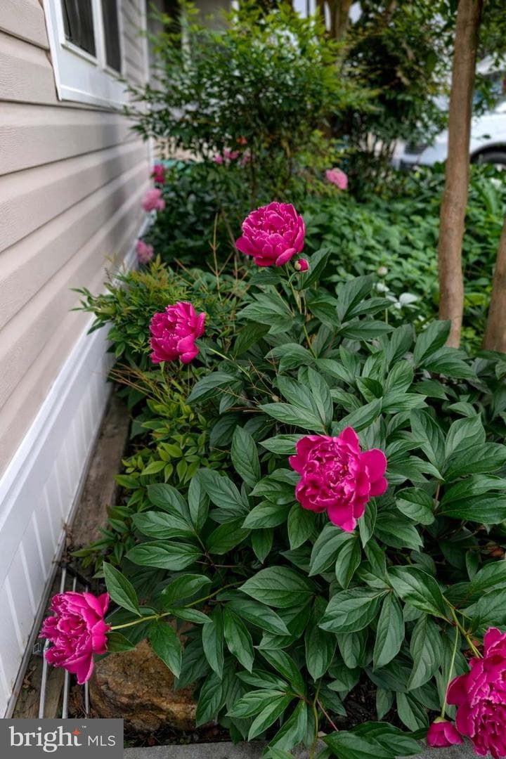 11283 Mobile Drive photo 3