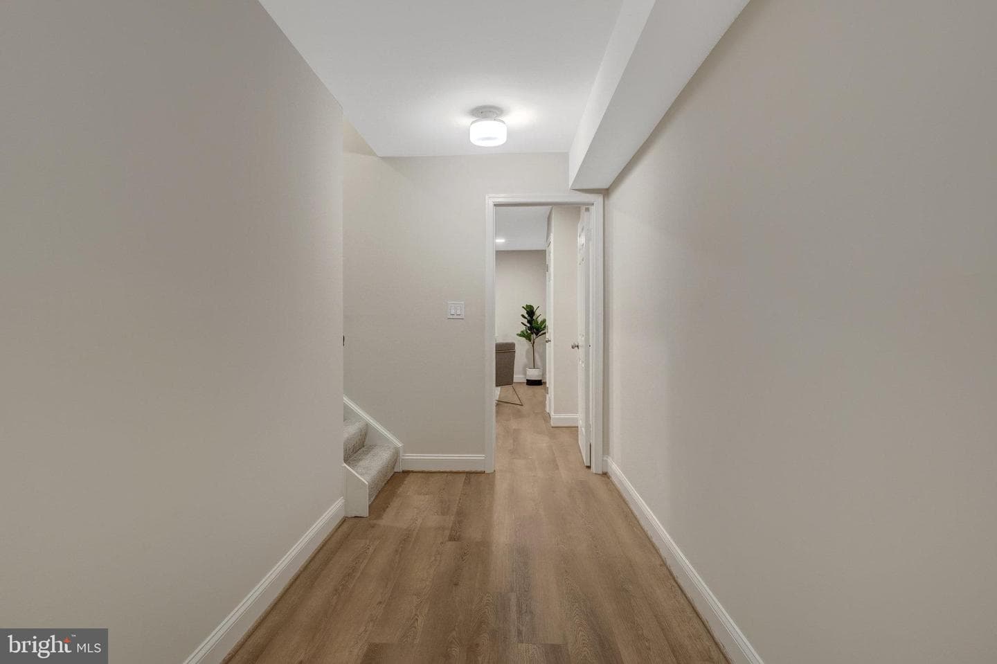 7820 Antiopi Street photo 45