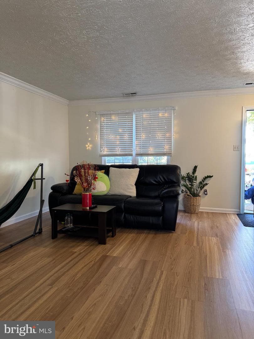 7761 Wolford Way photo 5