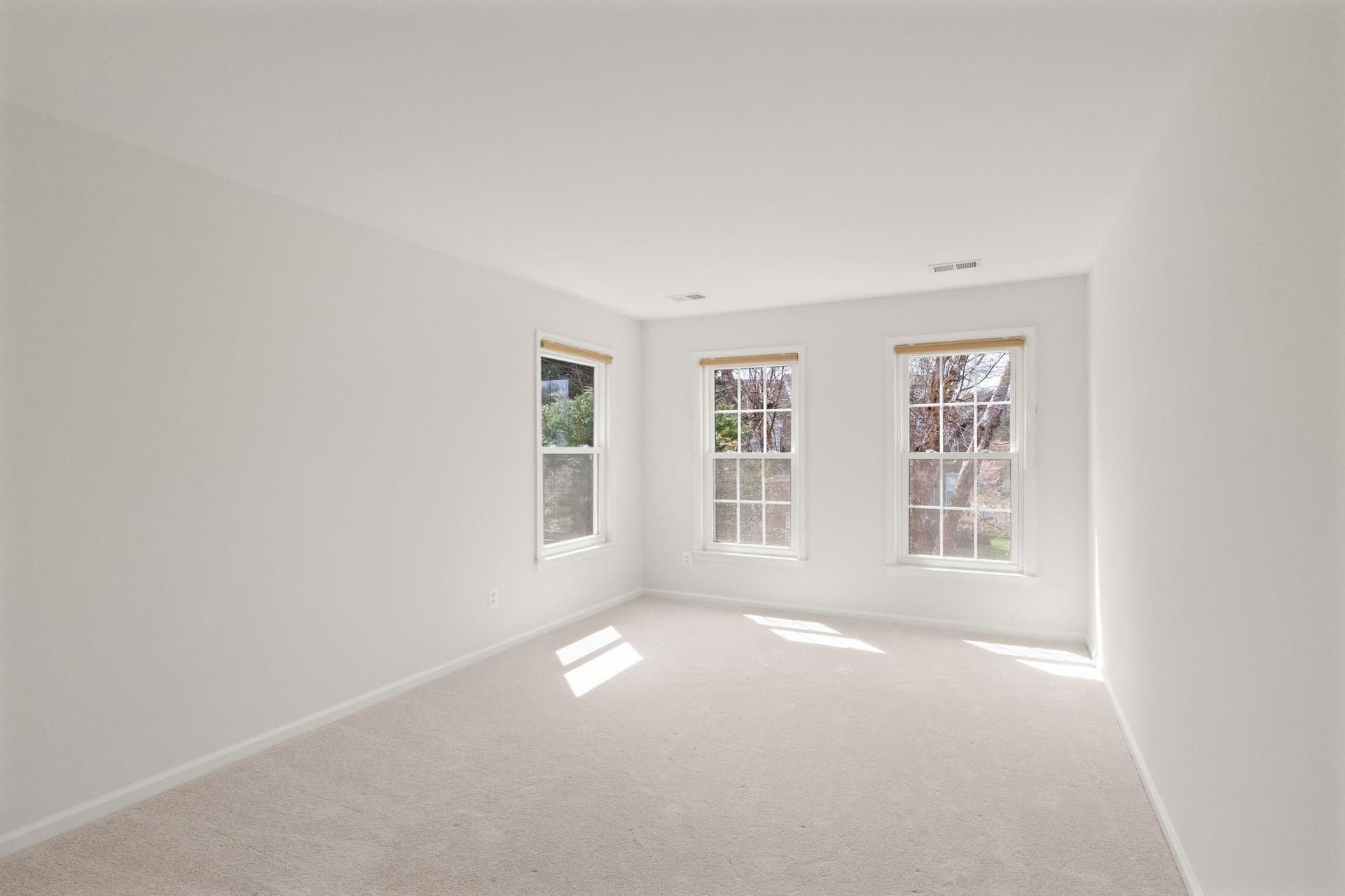 5105 Whisper Willow Drive photo 47