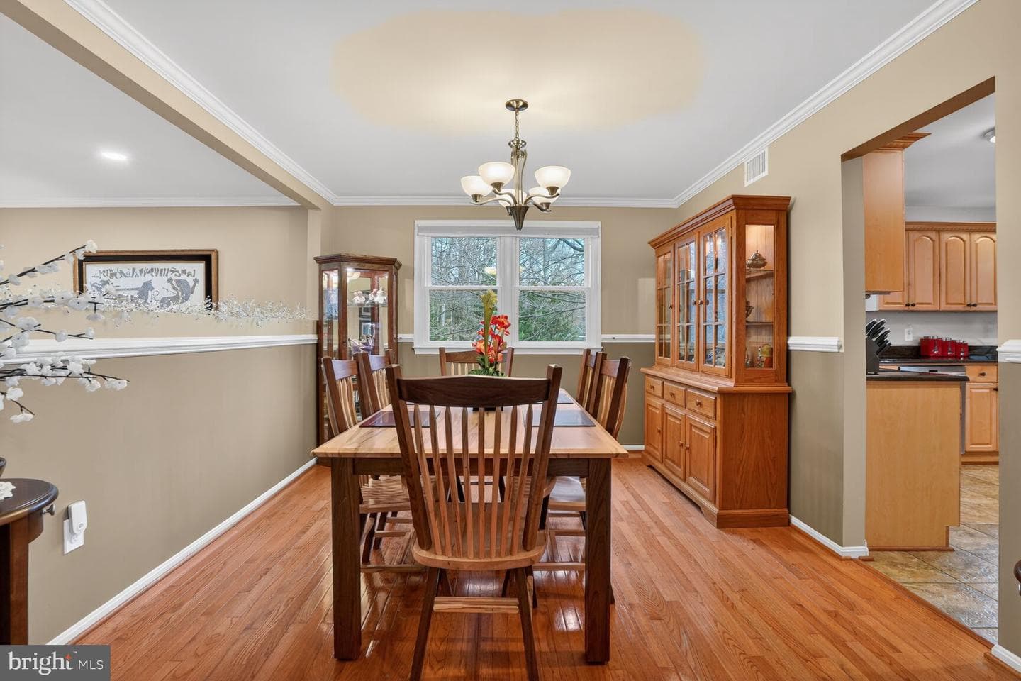 5206 Pimlico Court photo 6