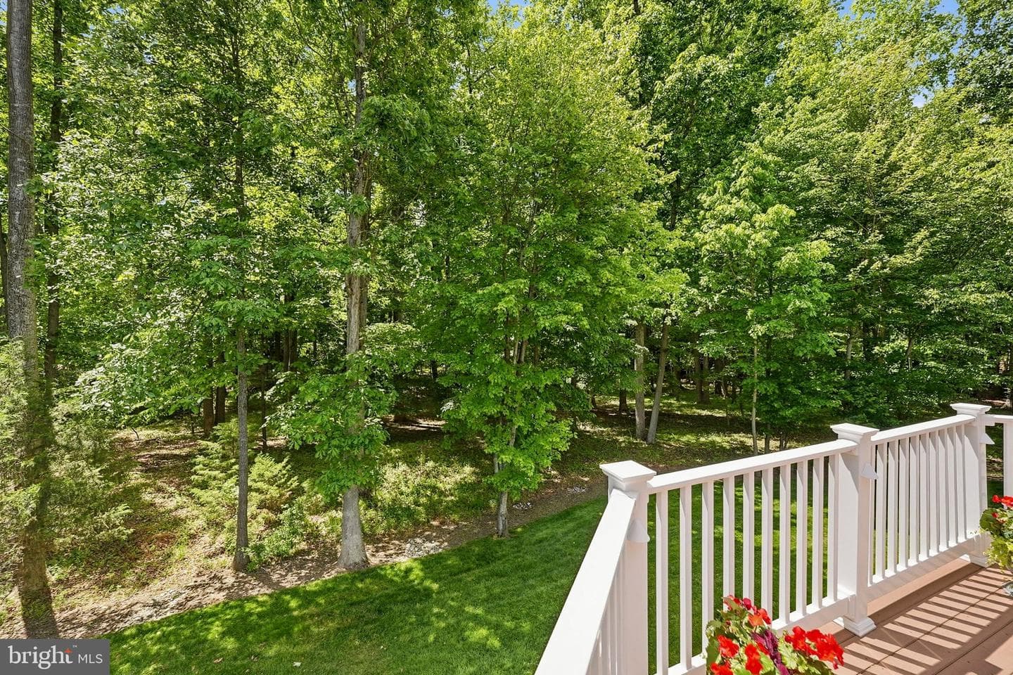 12804 Rose Grove Drive photo 93