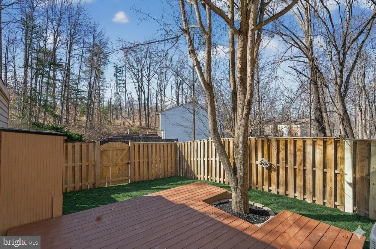 8225 Burning Forest Court photo 35