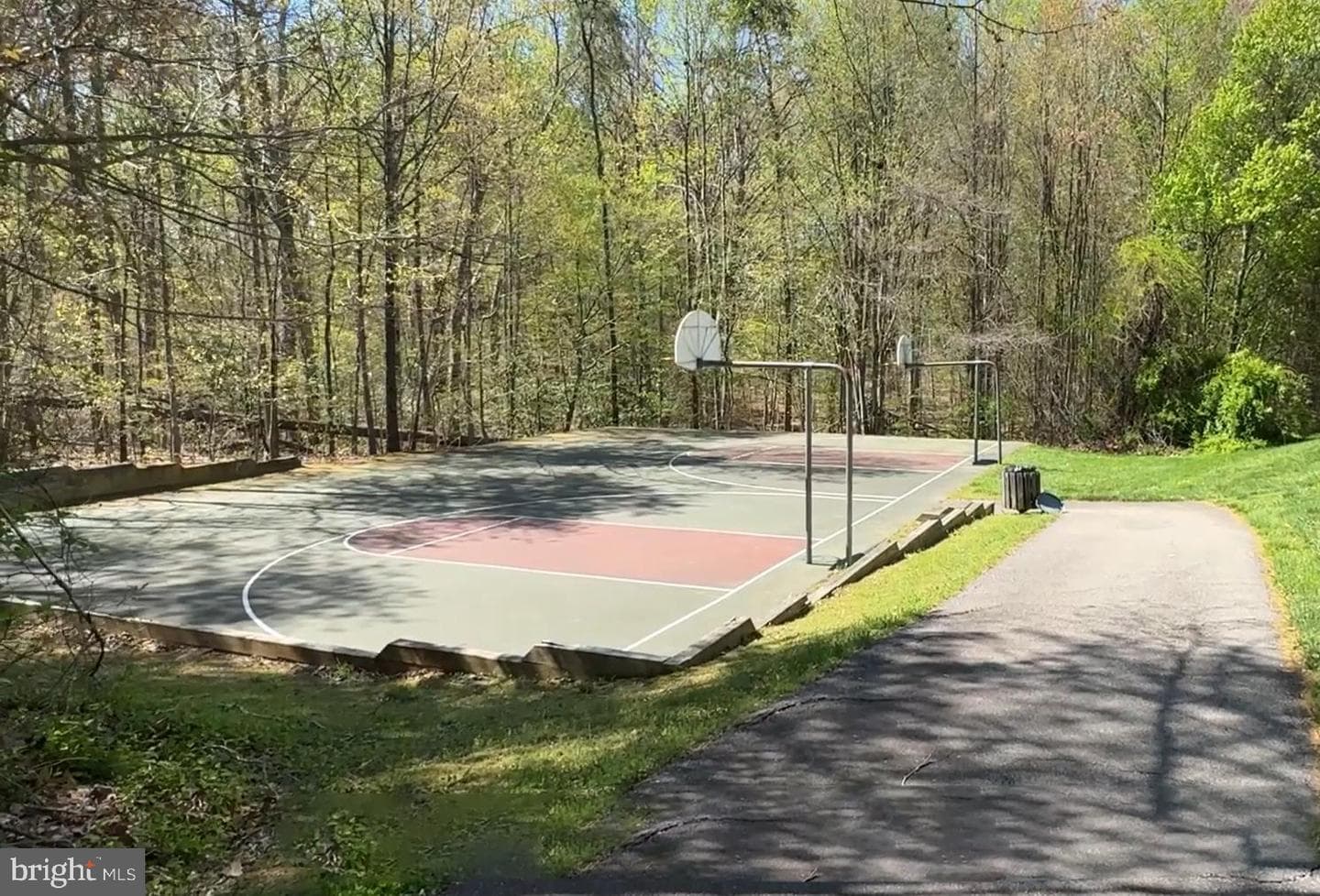8225 Burning Forest Court photo 42