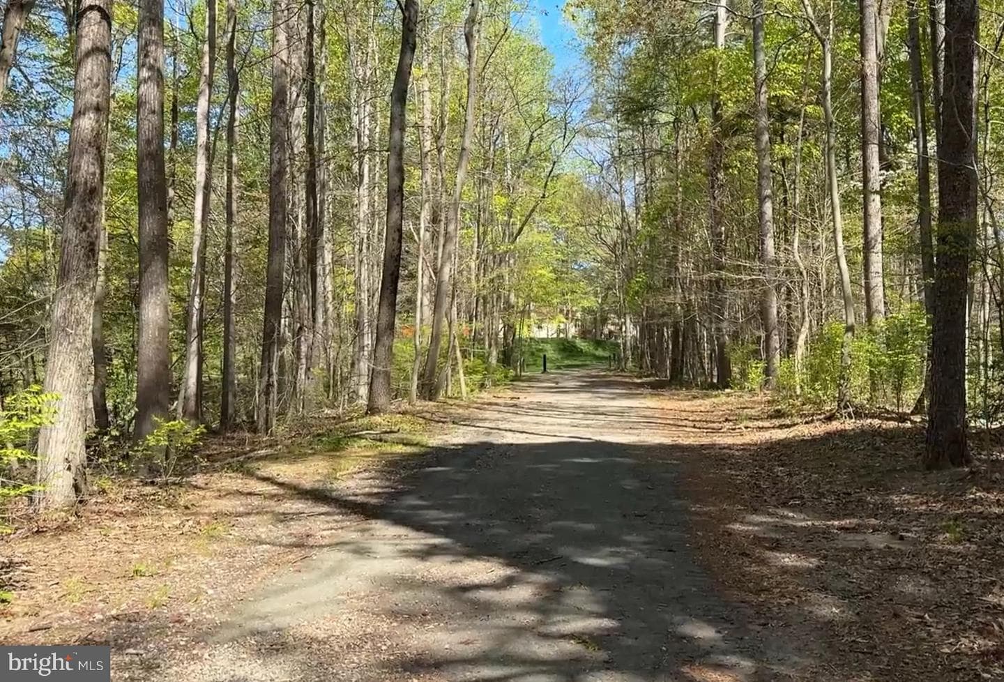 8225 Burning Forest Court photo 43