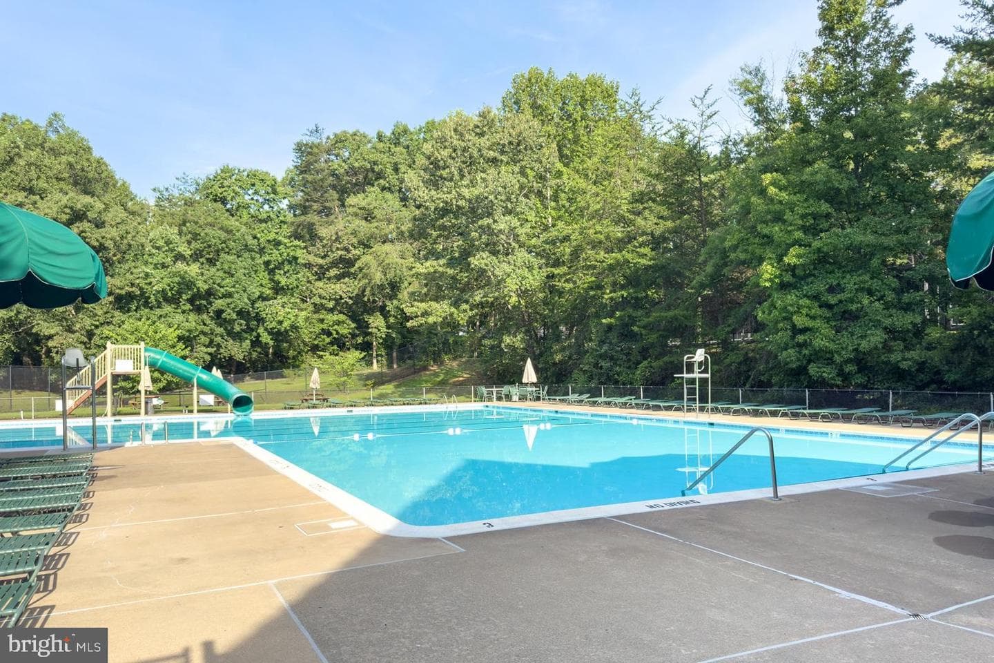 10727 Shingle Oak Court photo 42