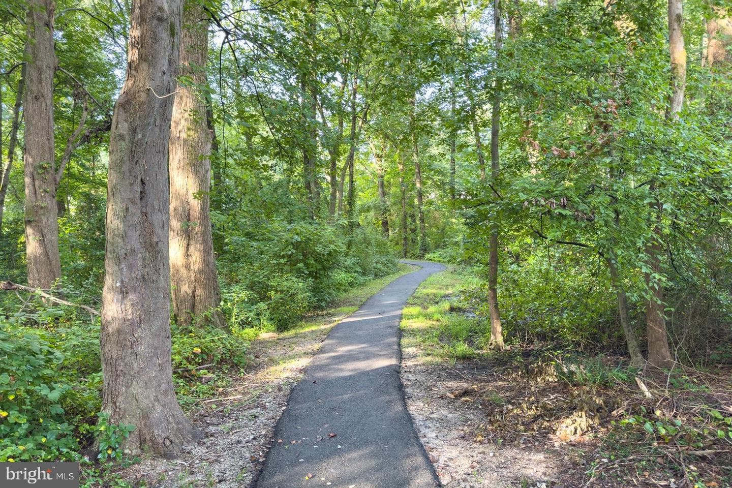 10727 Shingle Oak Court photo 43