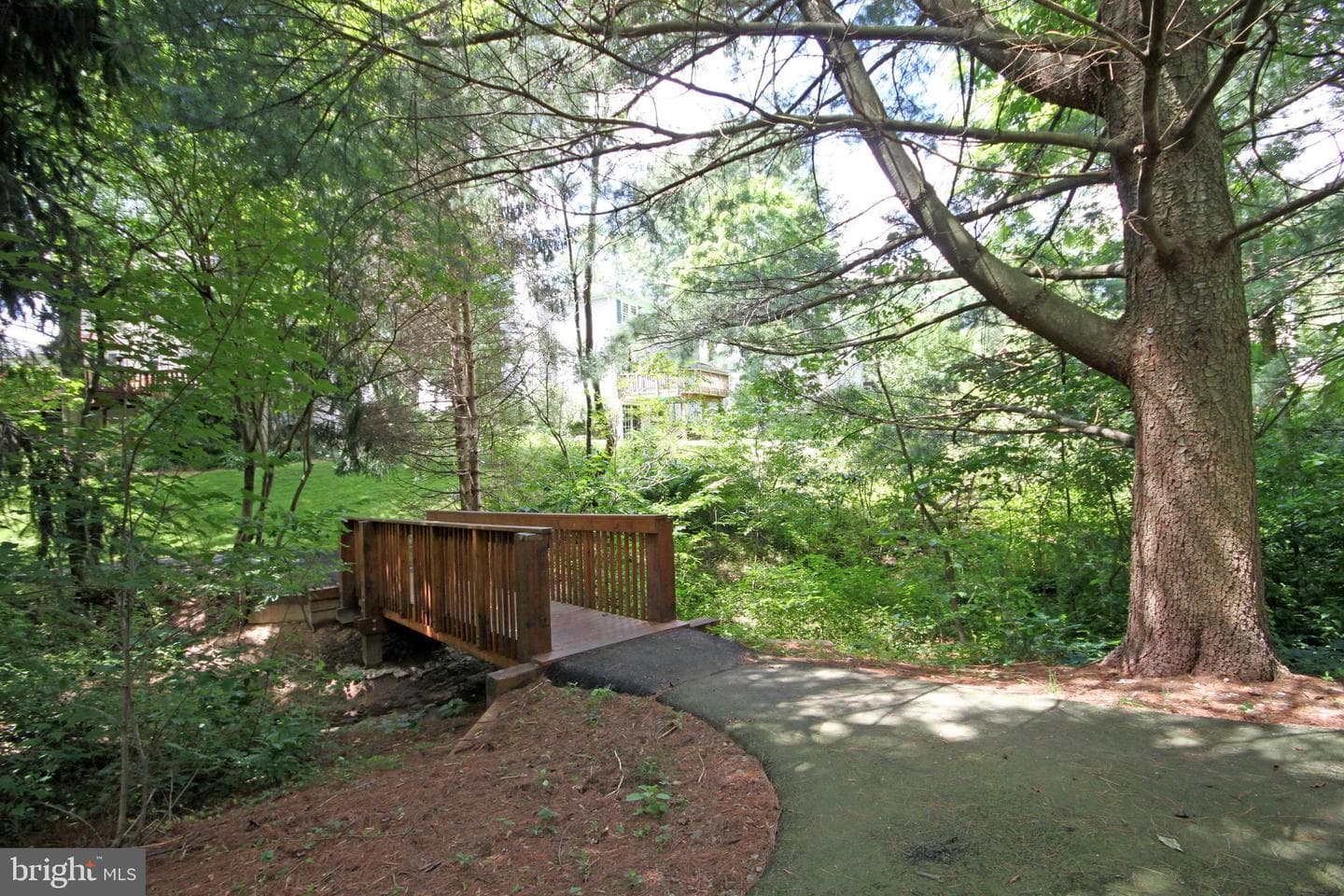 10727 Shingle Oak Court photo 52