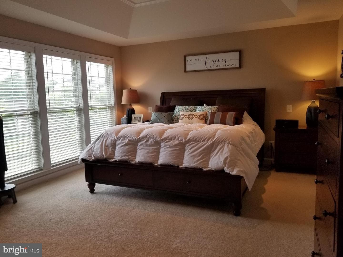 8171 Douglas Fir Drive photo 7