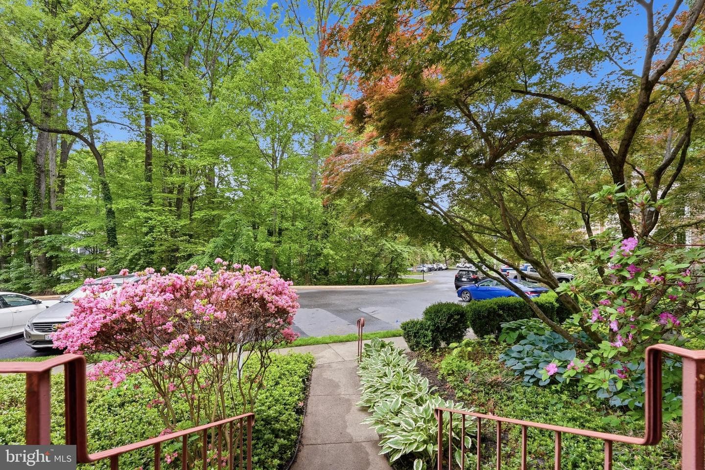 4616 Briar Patch Court photo 5