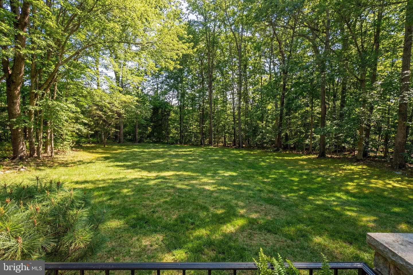 7427 Maple Branch Road photo 5