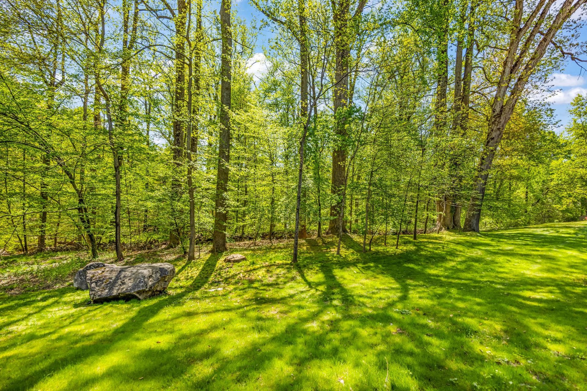 718 Ridge Drive photo 54