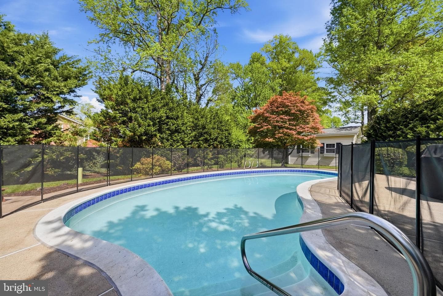 9220 Forest Haven Drive photo 43