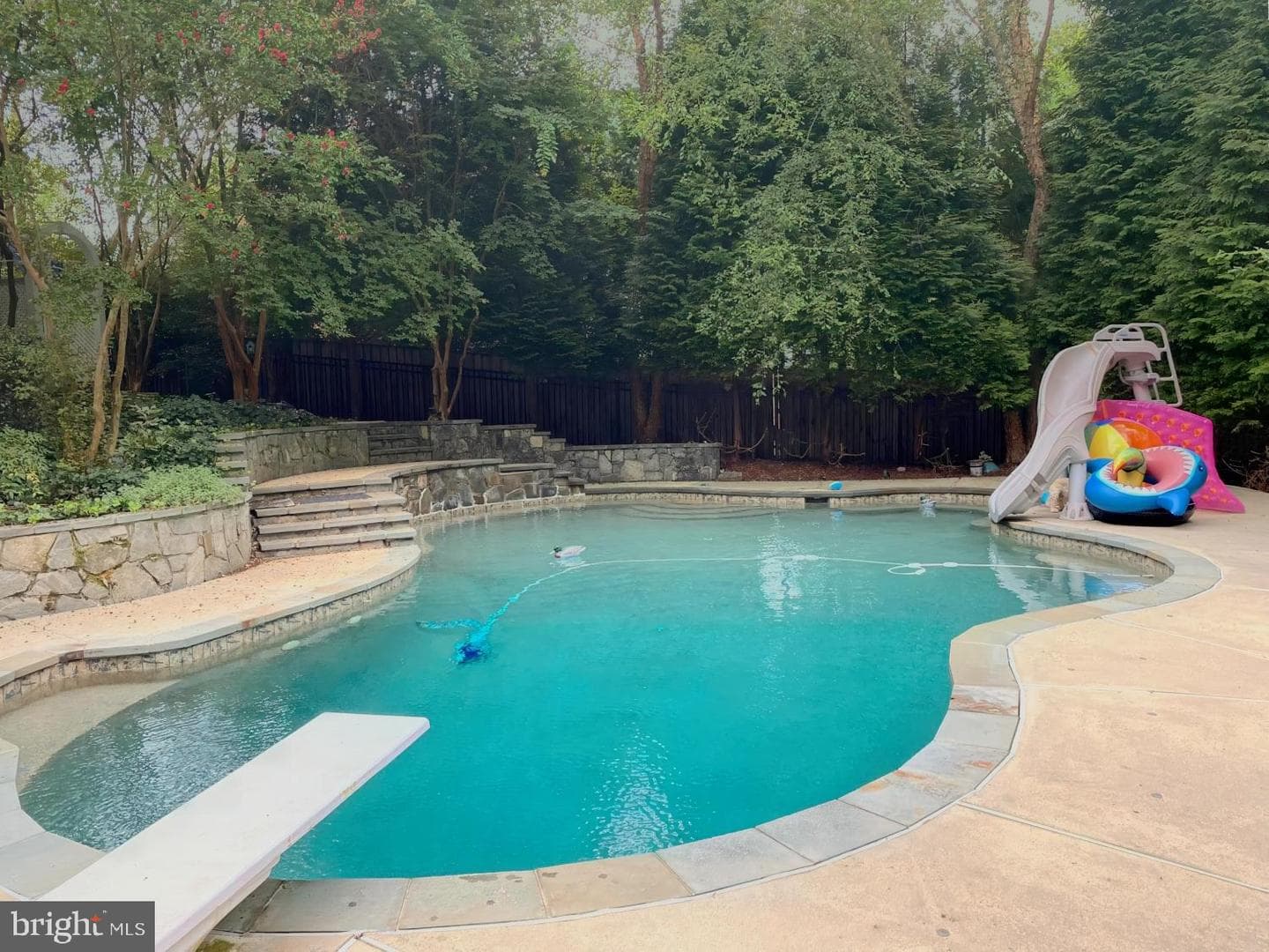 12650 Rose Crest Court photo 59