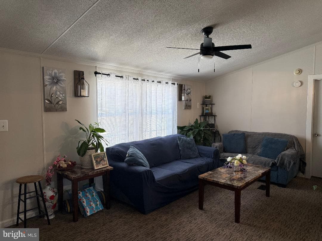 14512 Northeast Place photo 4