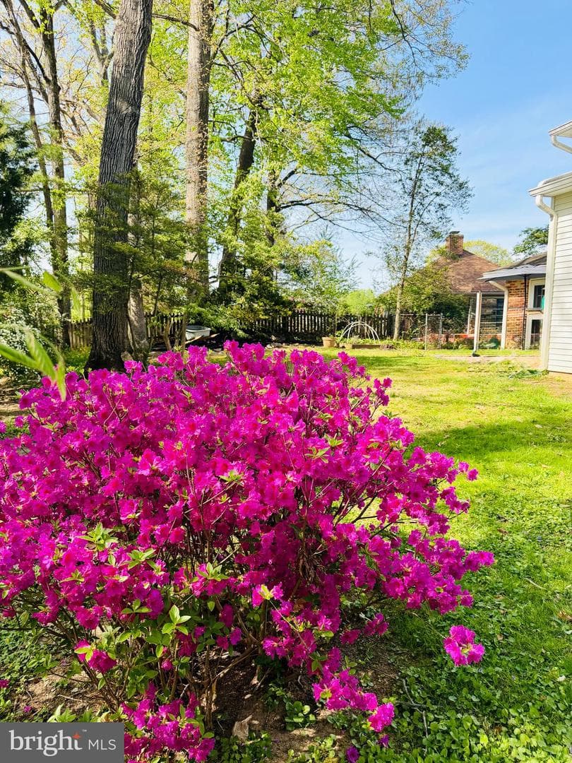 3308 Rocky Mount Road photo 51