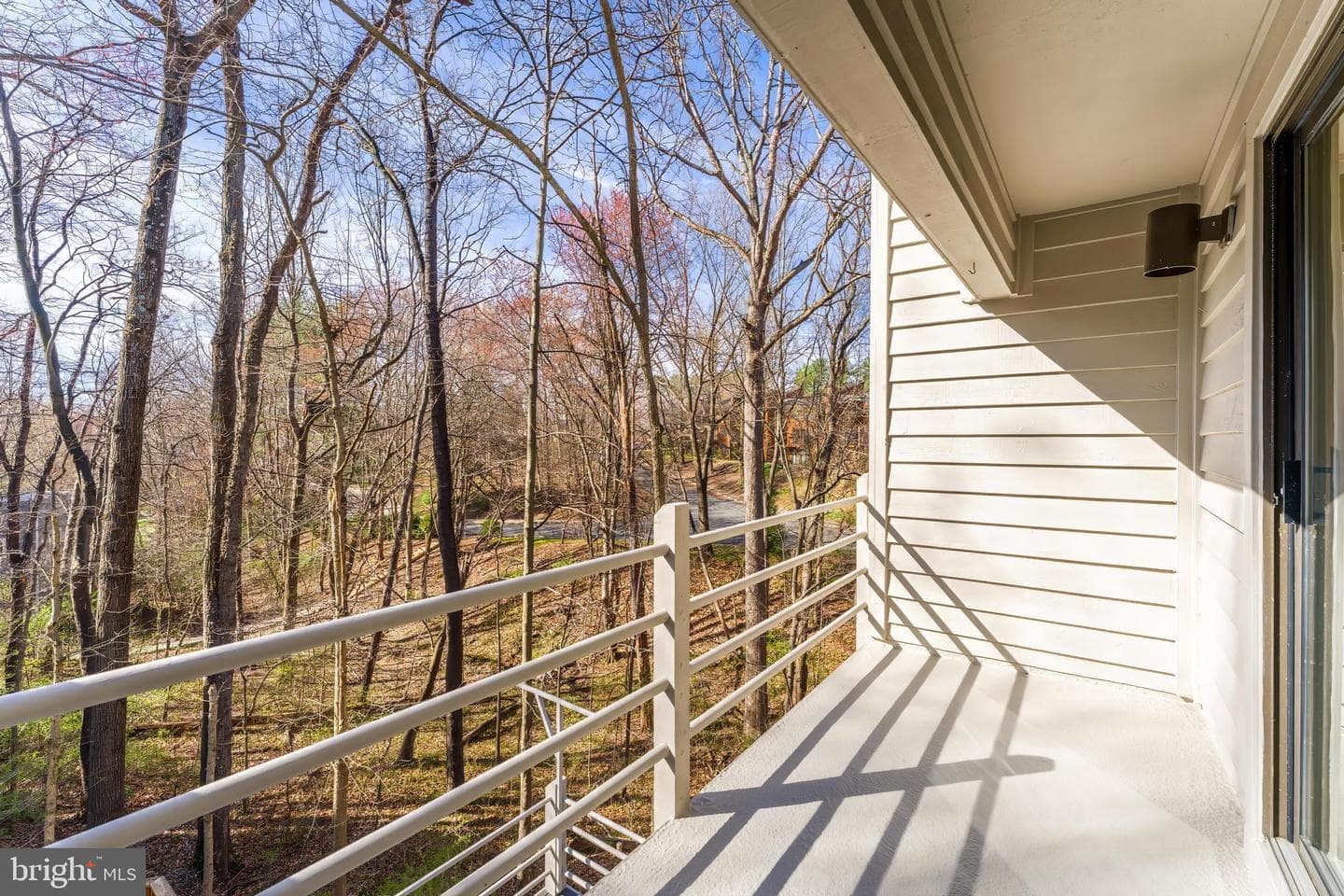 2118 Owls Cove Lane photo 34