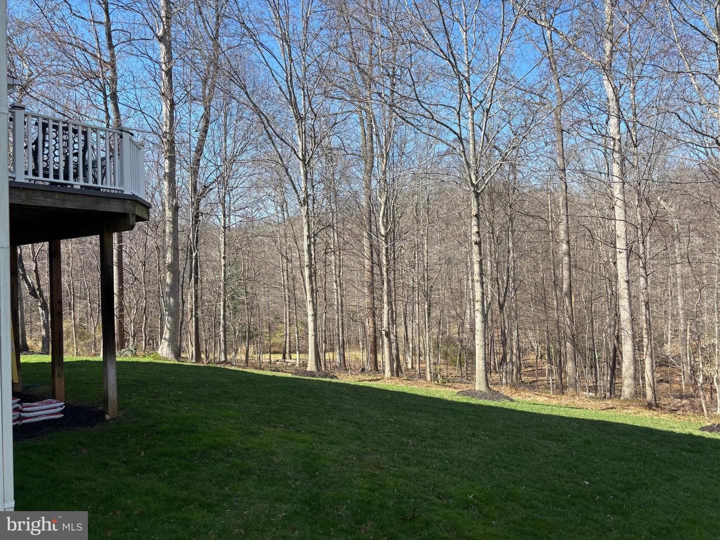 8840 Western Hemlock Way photo 34