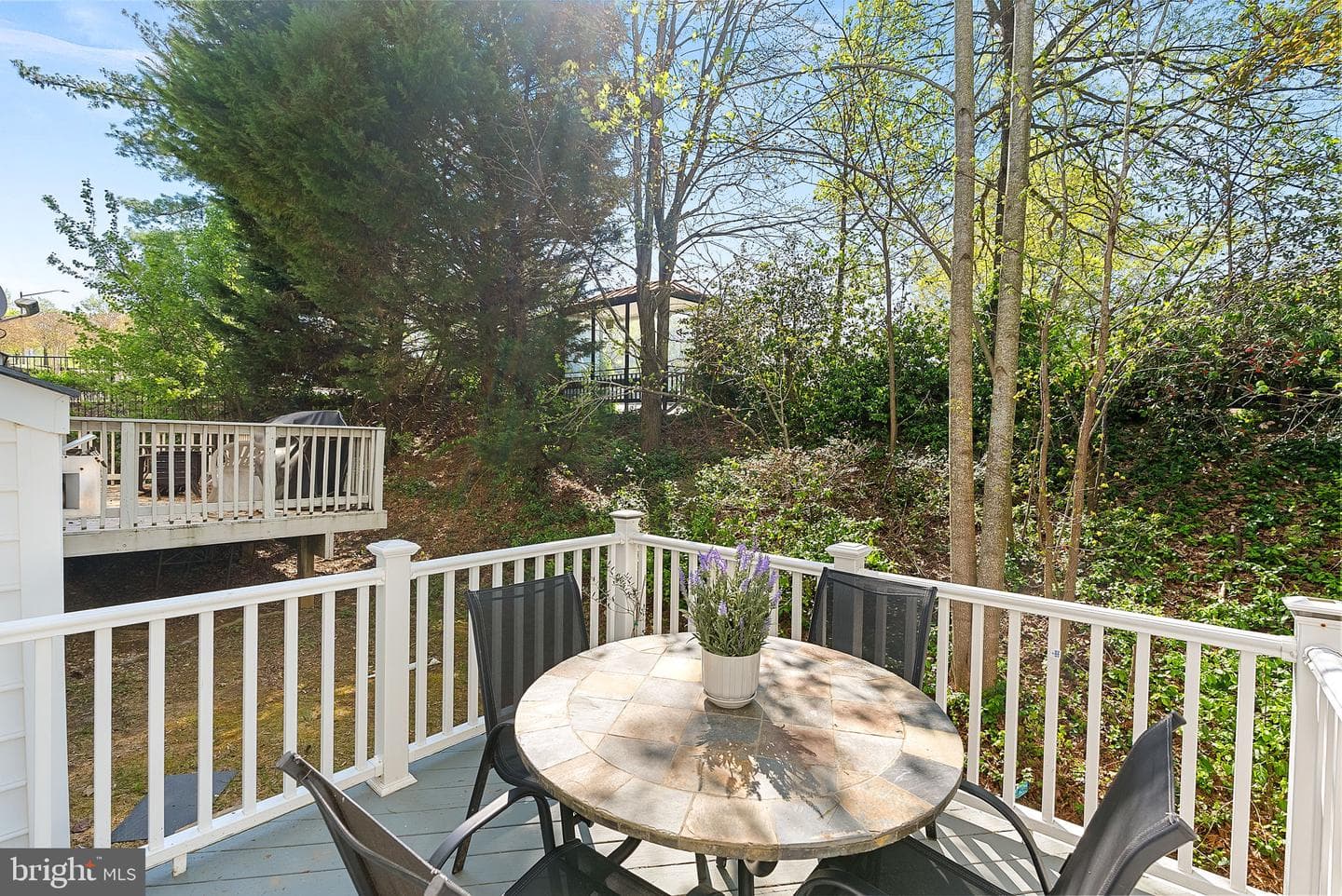 7677 Henry Knox Drive photo 39