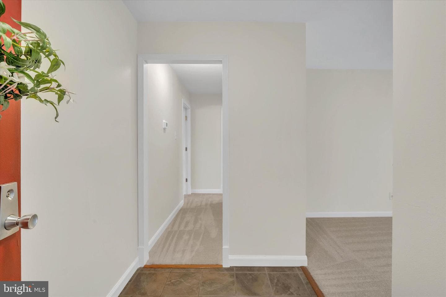 2044 Royal Fern Court #1a photo 5
