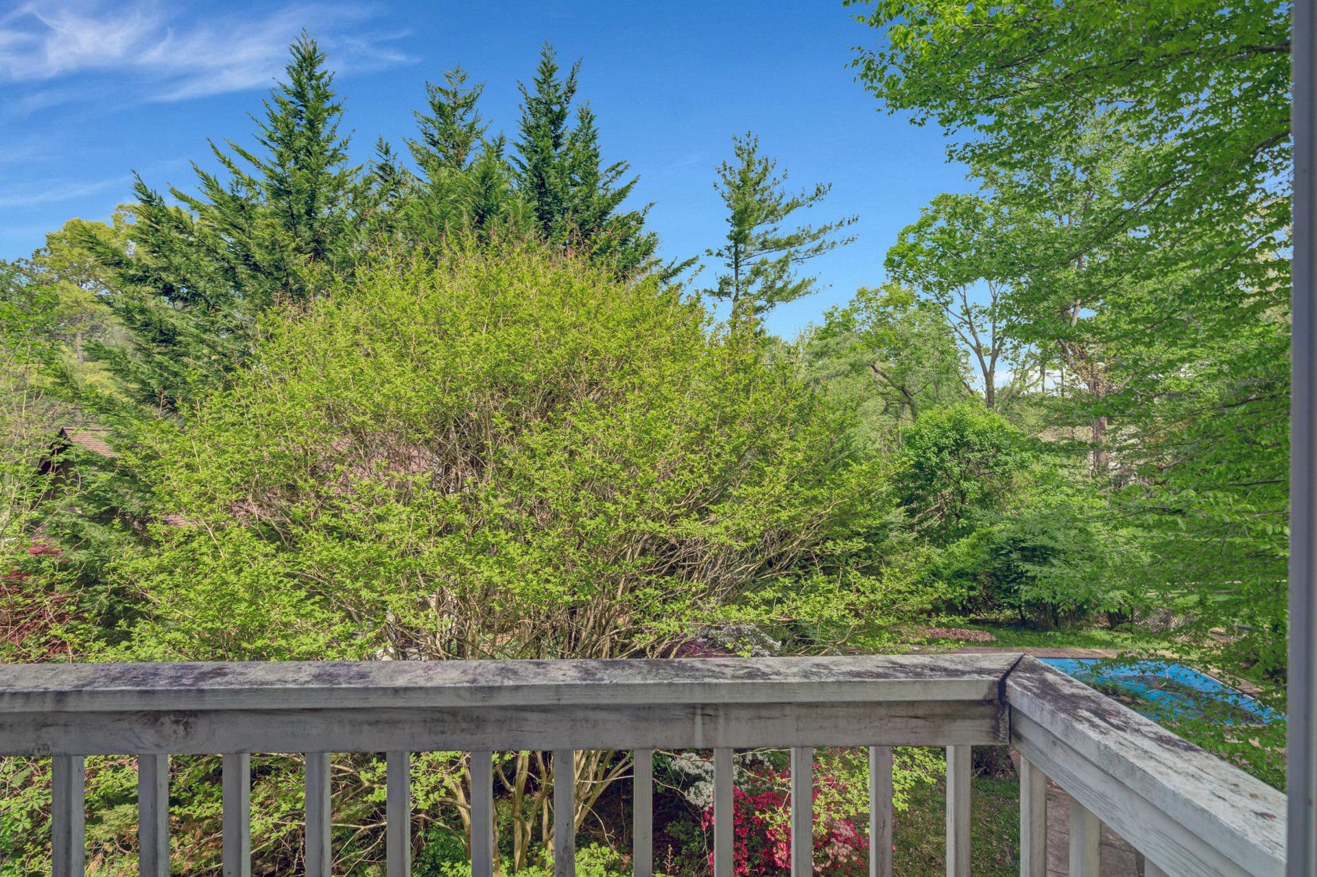 10910 Miller Road photo 41