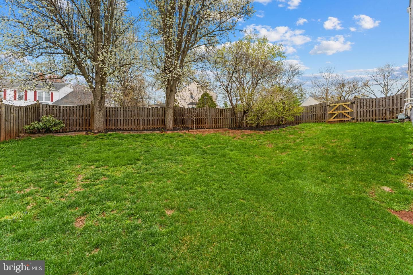 2982 Emerald Chase Drive photo 59