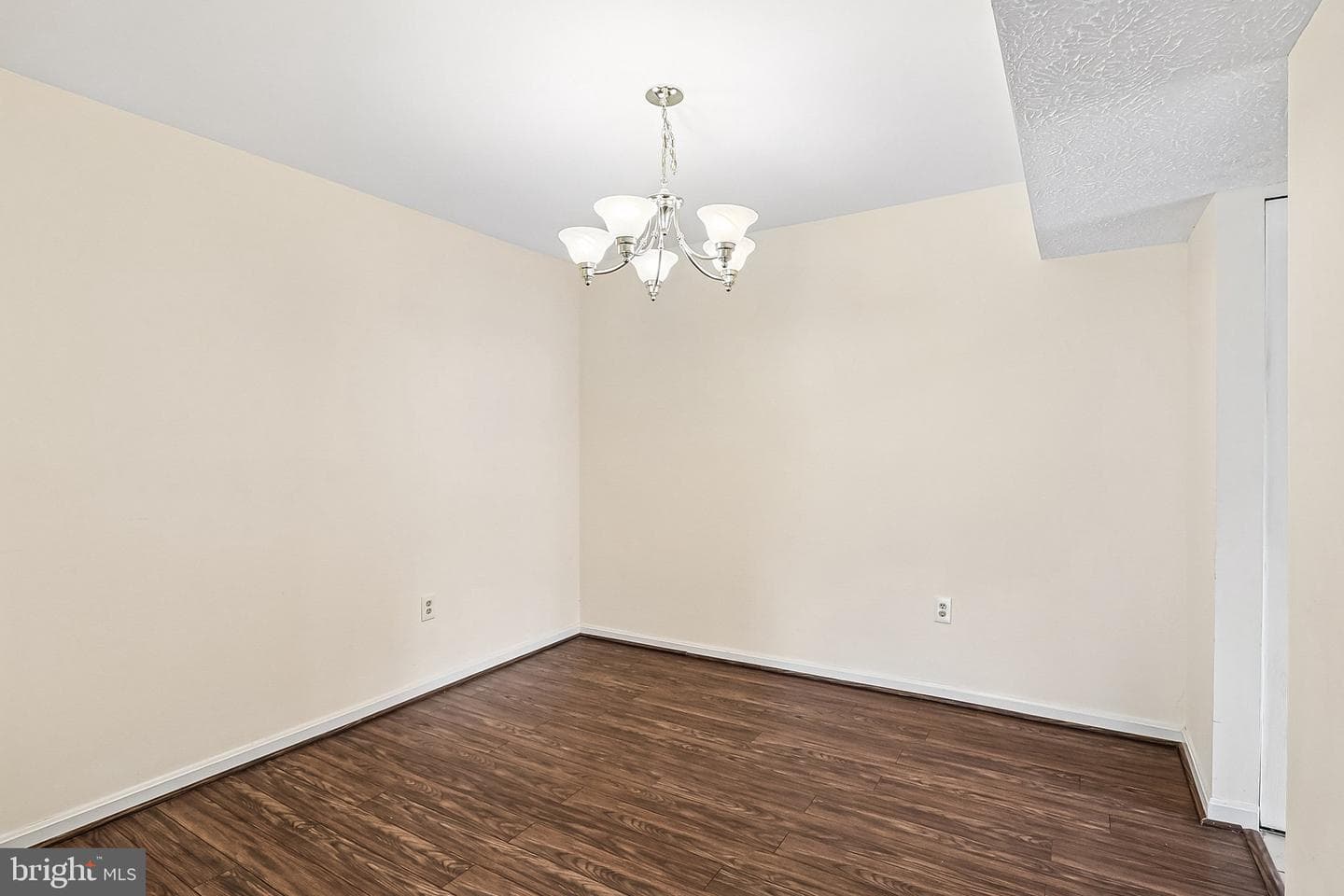 14002 Walter Bowie Lane photo 10