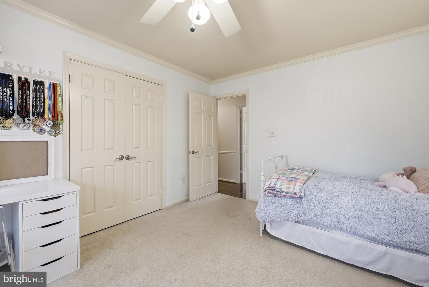 11123 Clara Barton Drive photo 33