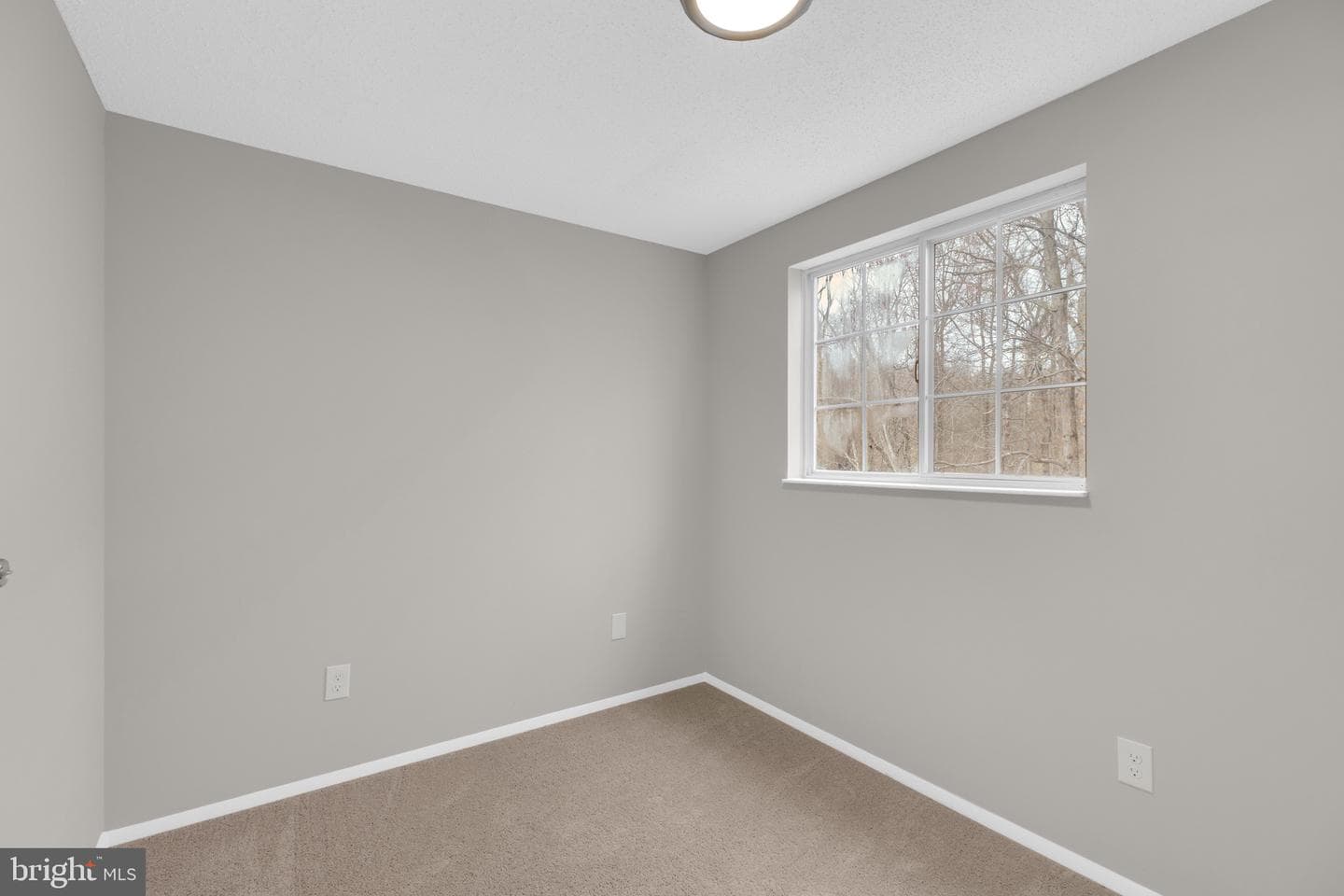 8677 Hickory Ridge Court photo 22