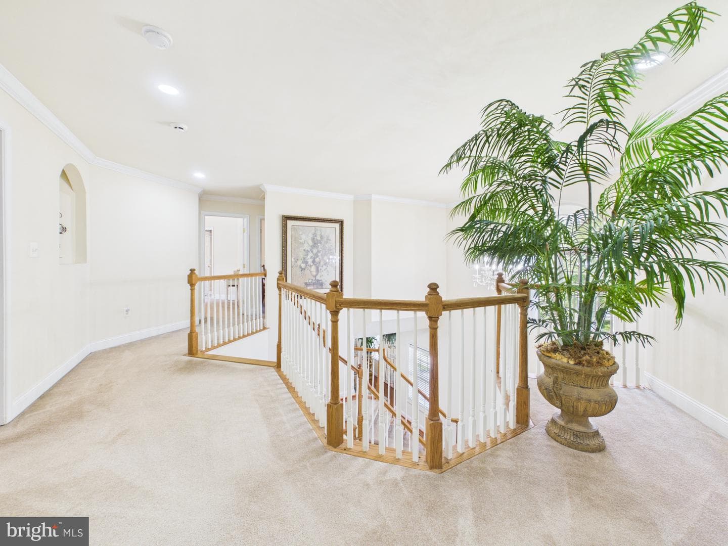 7801 Ridgewood Dr photo 29