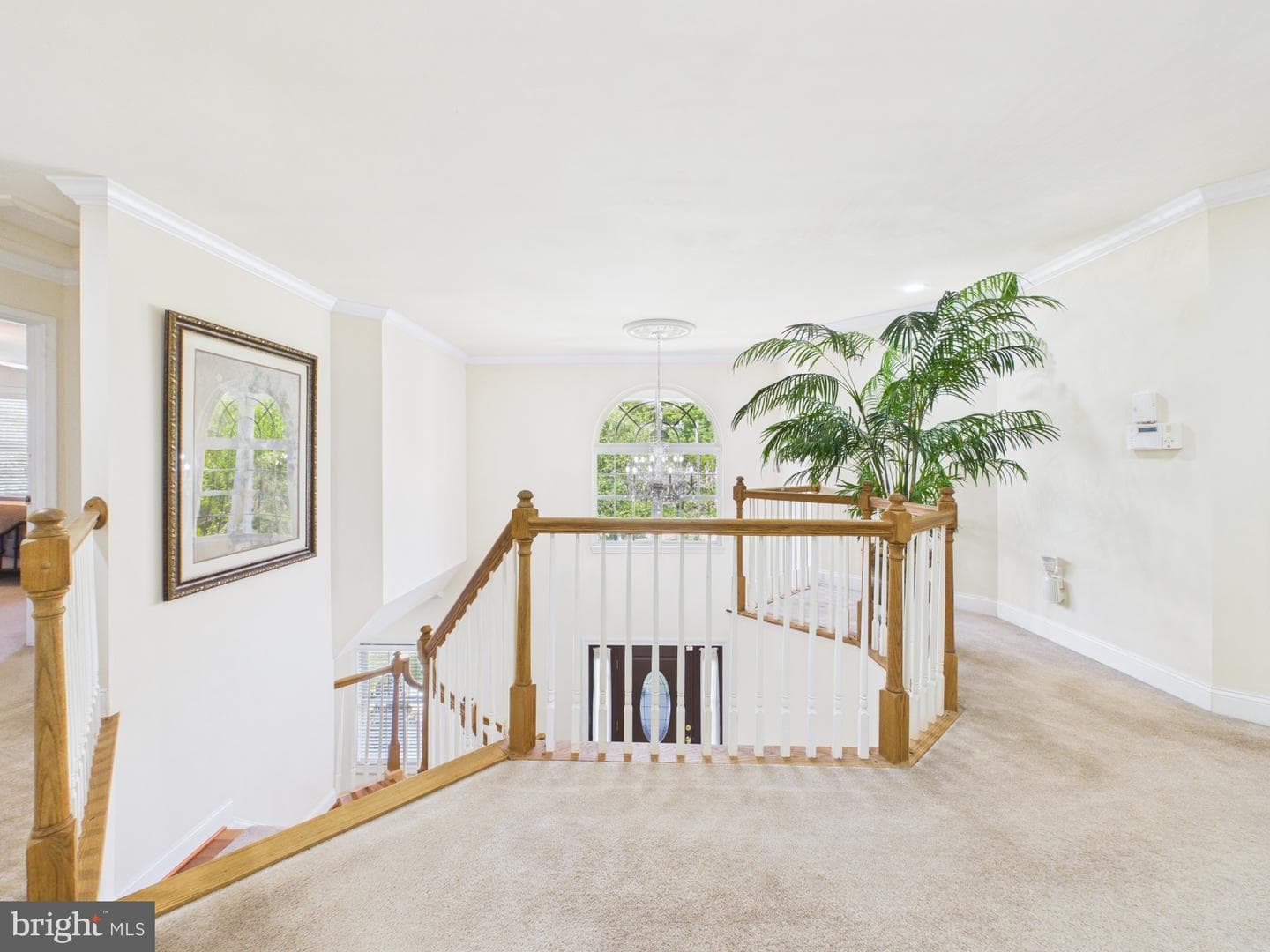 7801 Ridgewood Dr photo 30