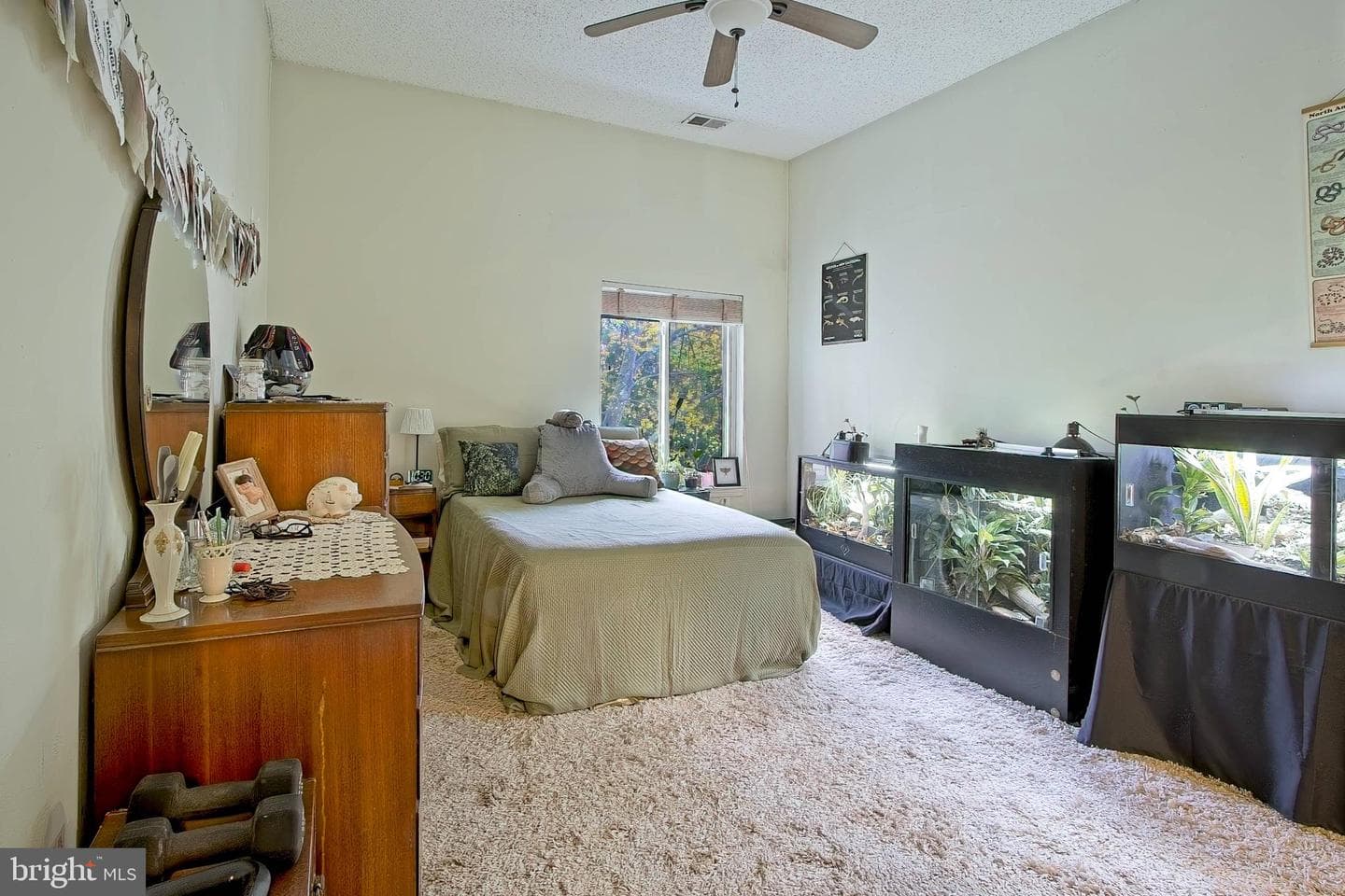 11045 Villaridge Court photo 19