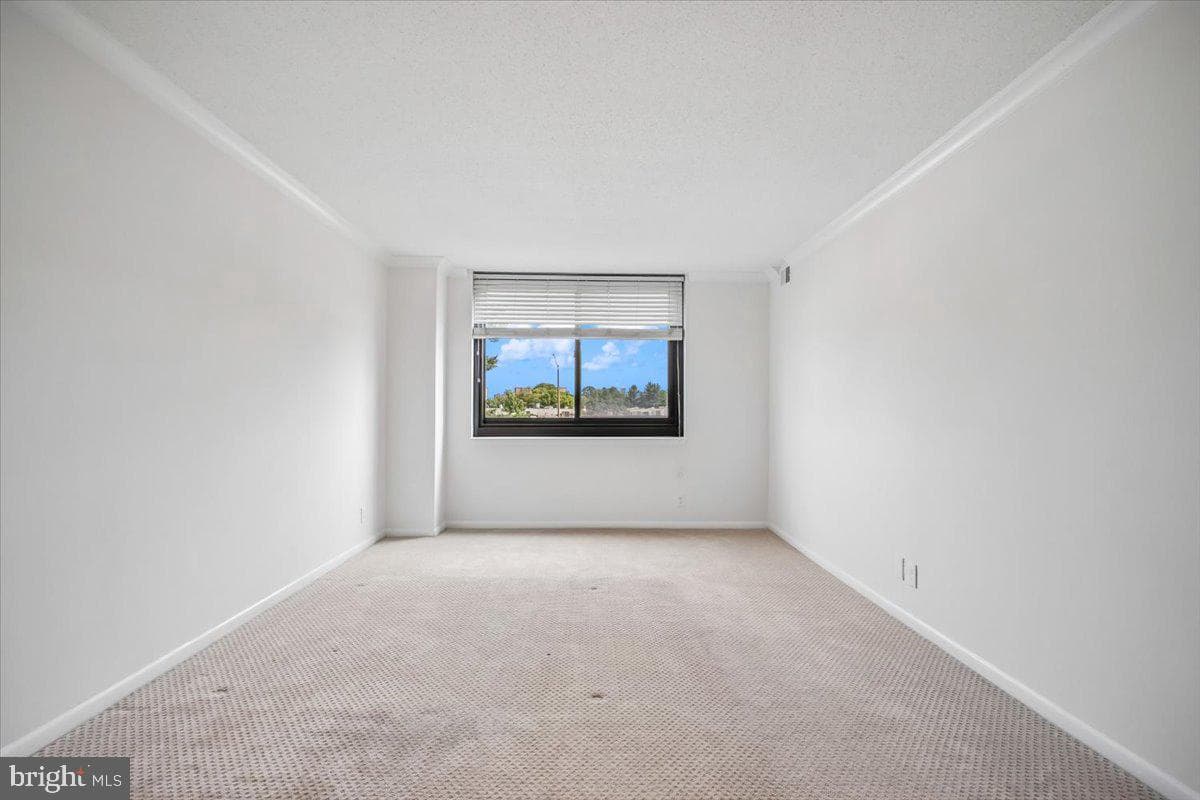 5501 Seminary Road #106s photo 37