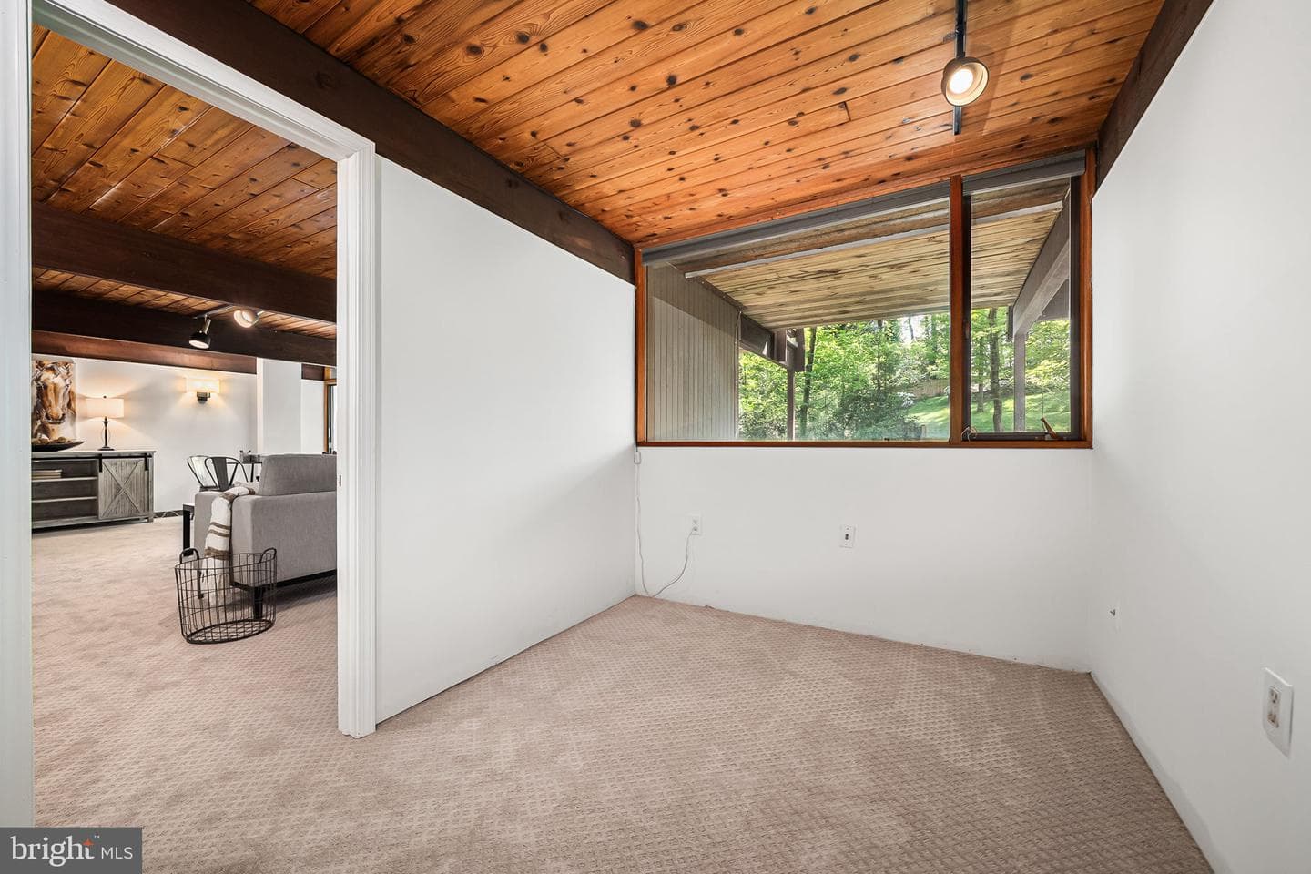 6551 Jay Miller Drive photo 52
