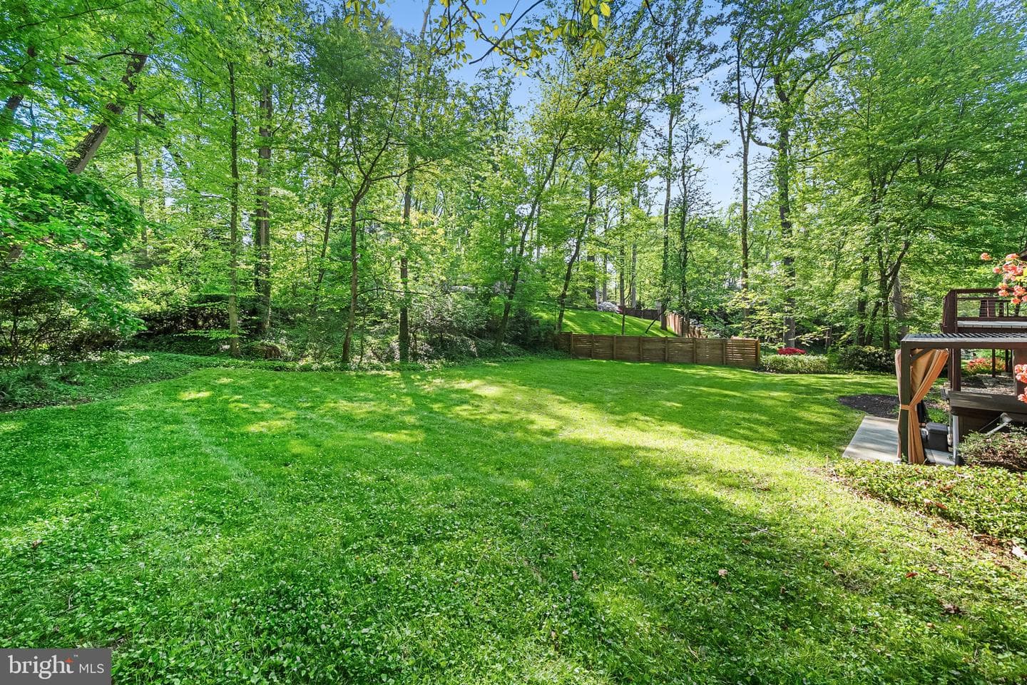 6551 Jay Miller Drive photo 55