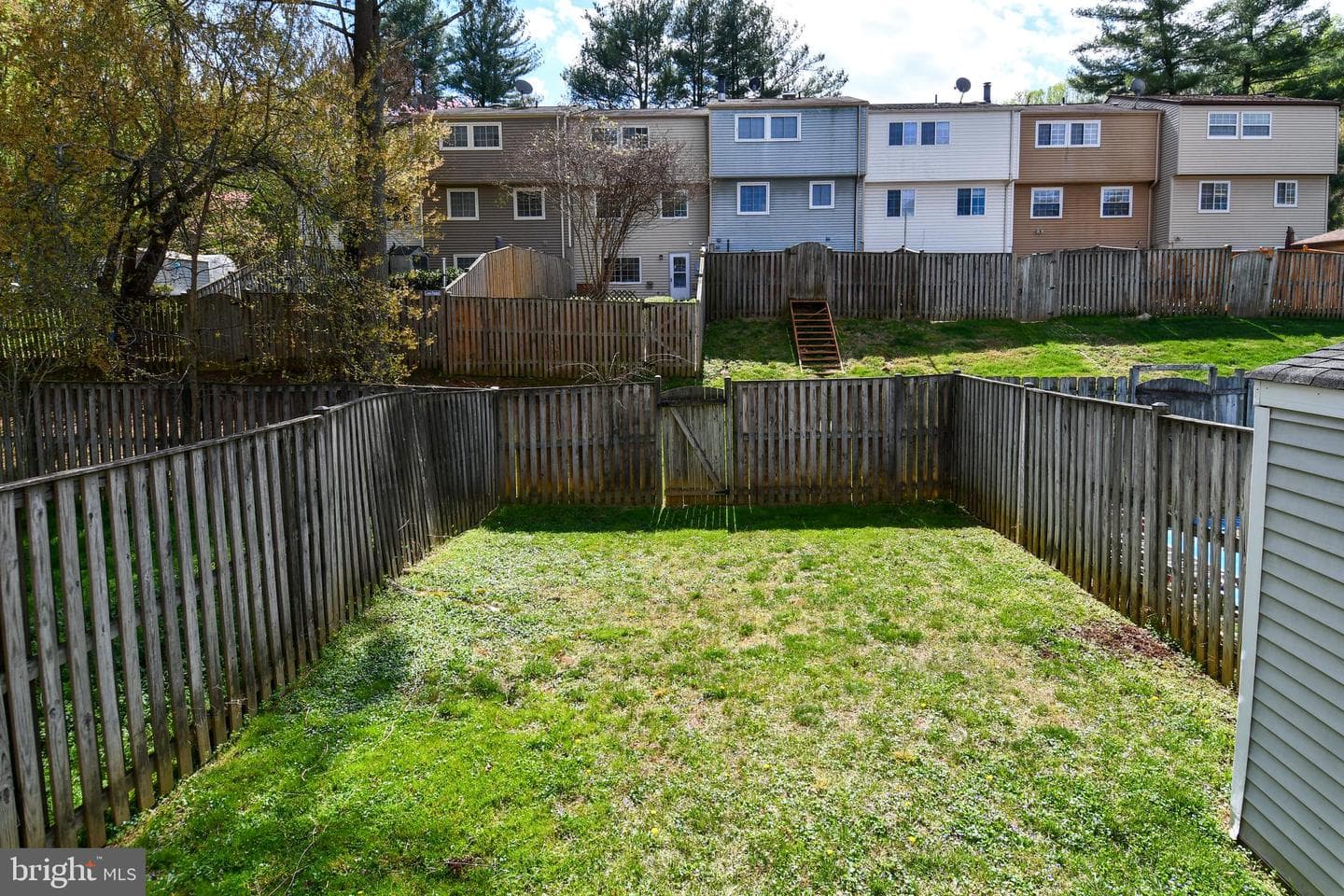 9803 Tara Court photo 47