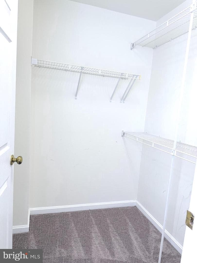 6035 Terrapin Place #301 photo 13