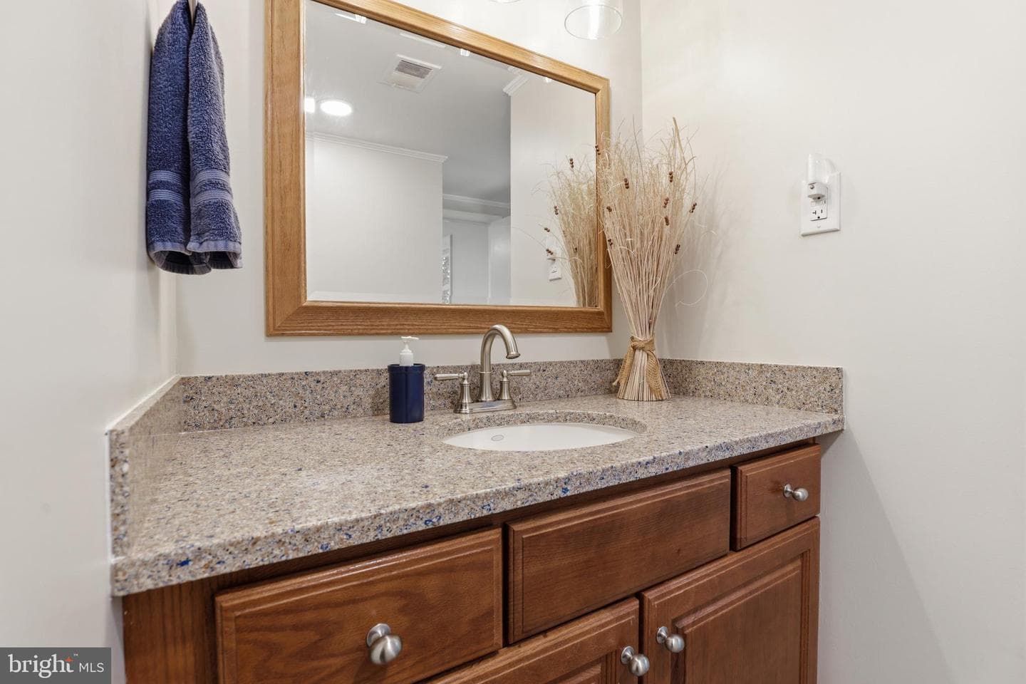 10106 Nadine Drive photo 23